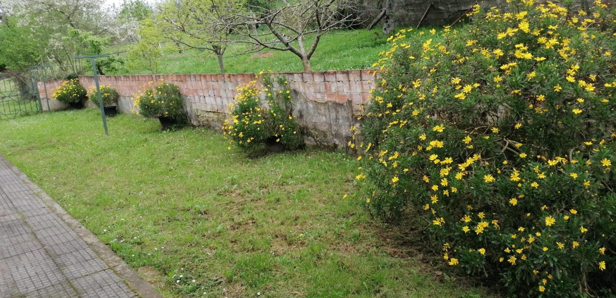 Fondu La Llosa - Casita Cerca De Gijon - Vv-662-As บีญาวิซิโอซา ภายนอก รูปภาพ